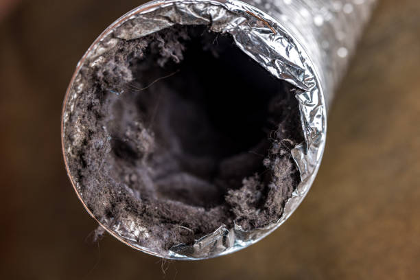 Best Air Duct Cleaning Near Me  in Bouse, AZ